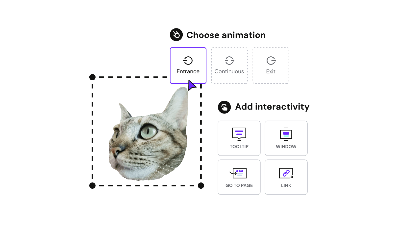 Templates with interactivity and animation that surprises